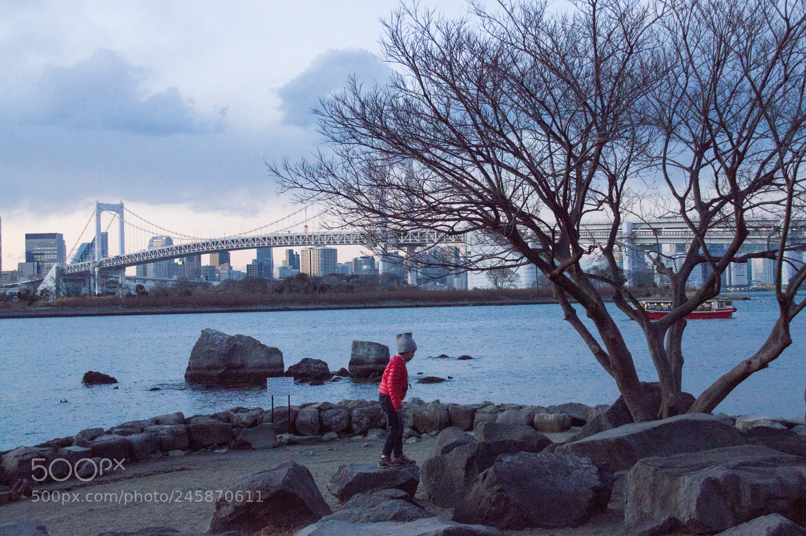 Nikon D3200 sample photo. Odaiba photography