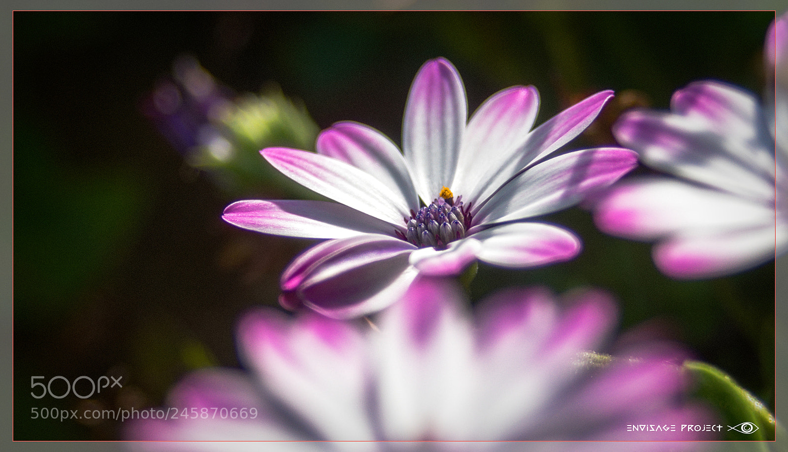 Sony a7R sample photo. Ott, over the top photography