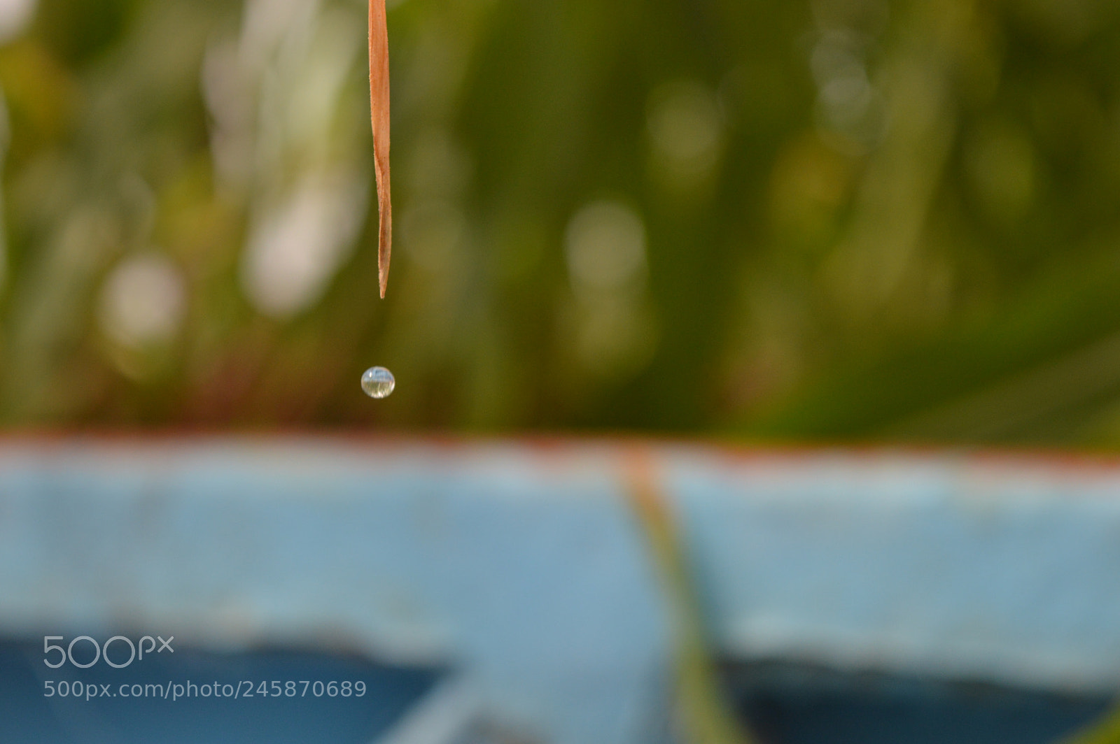 Nikon D3200 sample photo. Water droplet photography
