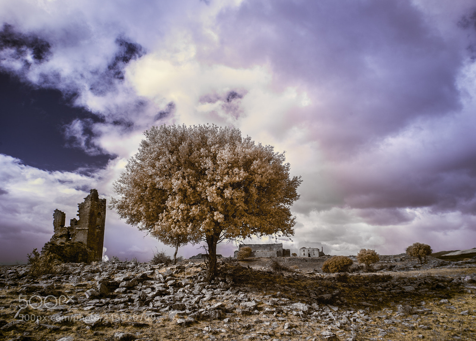 Canon EOS 5D sample photo. Baigorri infrared photography