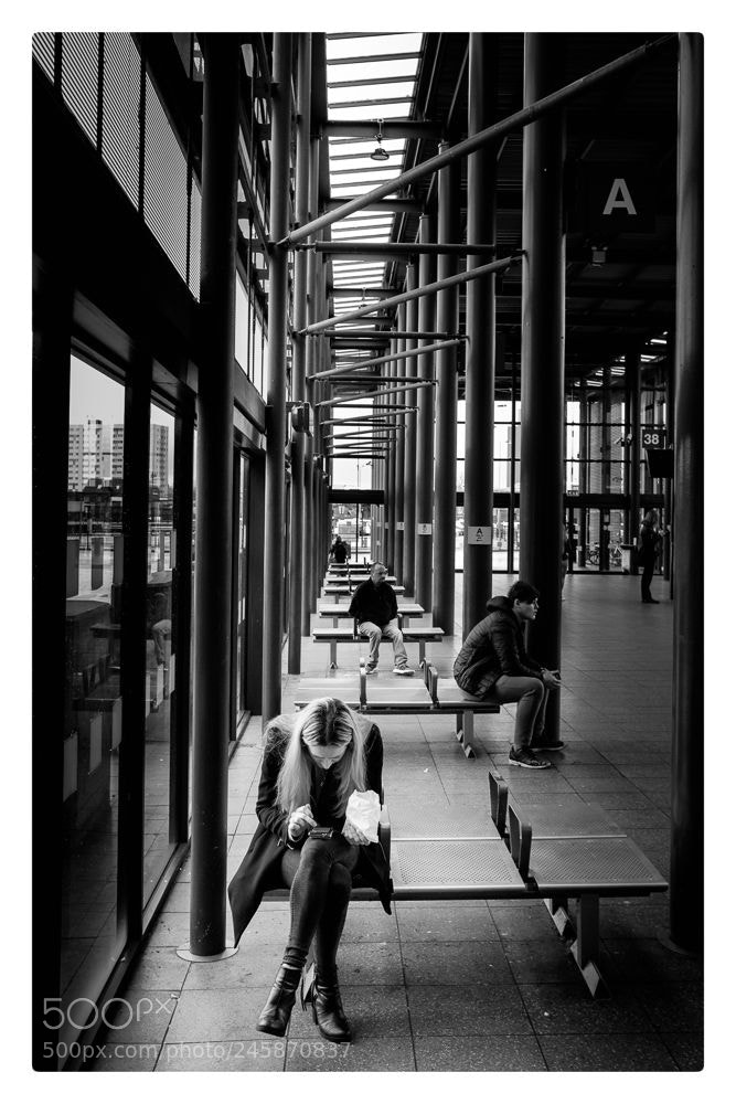 Fujifilm X-T2 sample photo. Engrossed photography