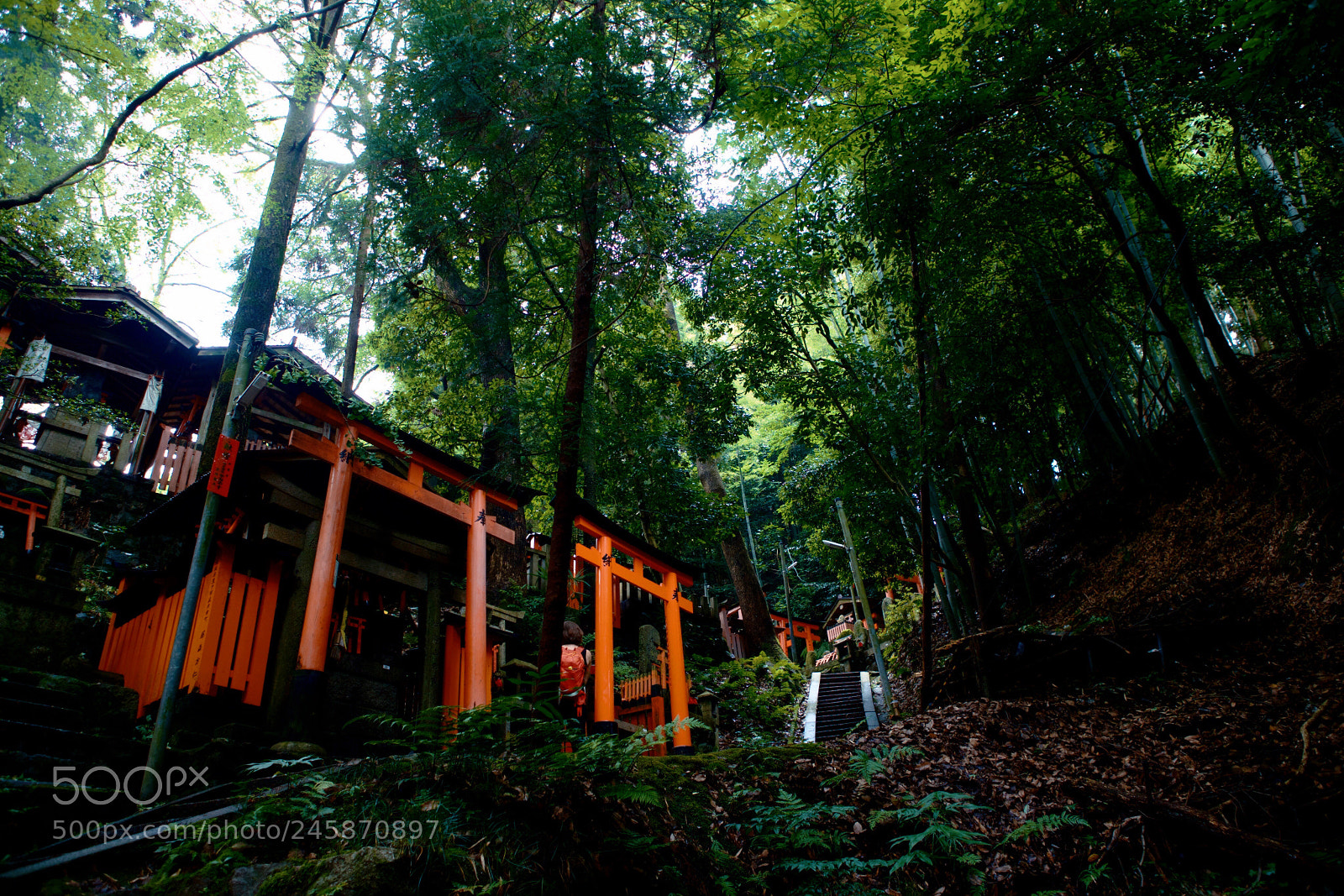 Canon EOS-1D X sample photo. Kyoto 2017 photography