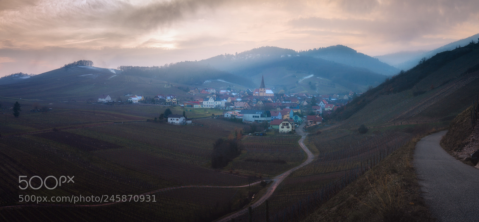 Nikon D5 sample photo. Winter sunset over niedermorschwihr photography