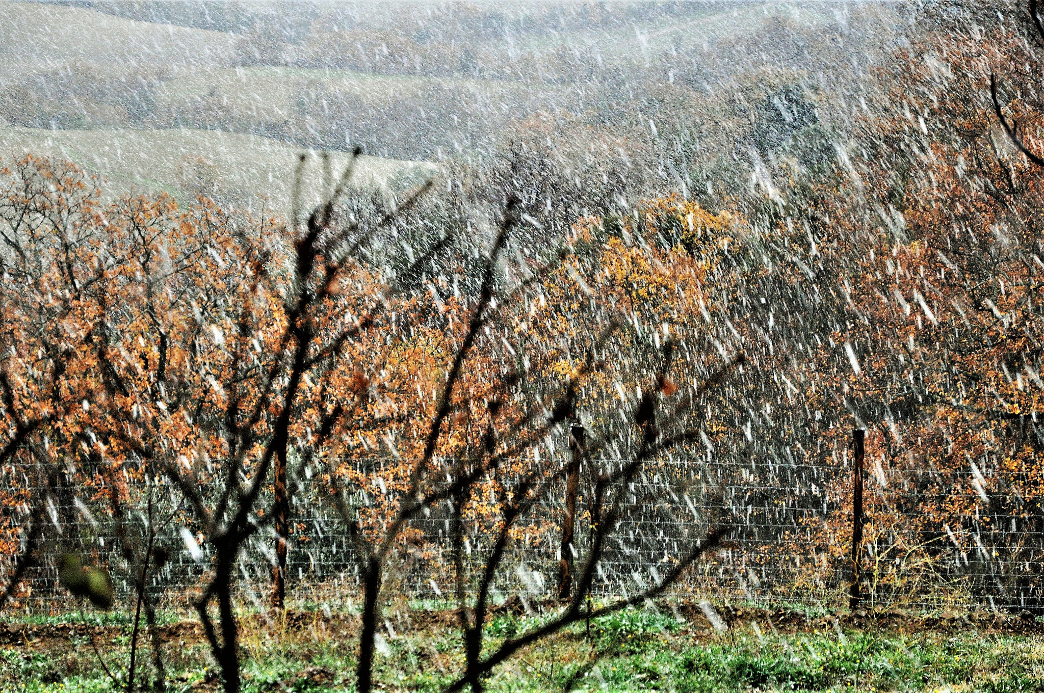 Nikon D90 sample photo. Nevica in campagna photography