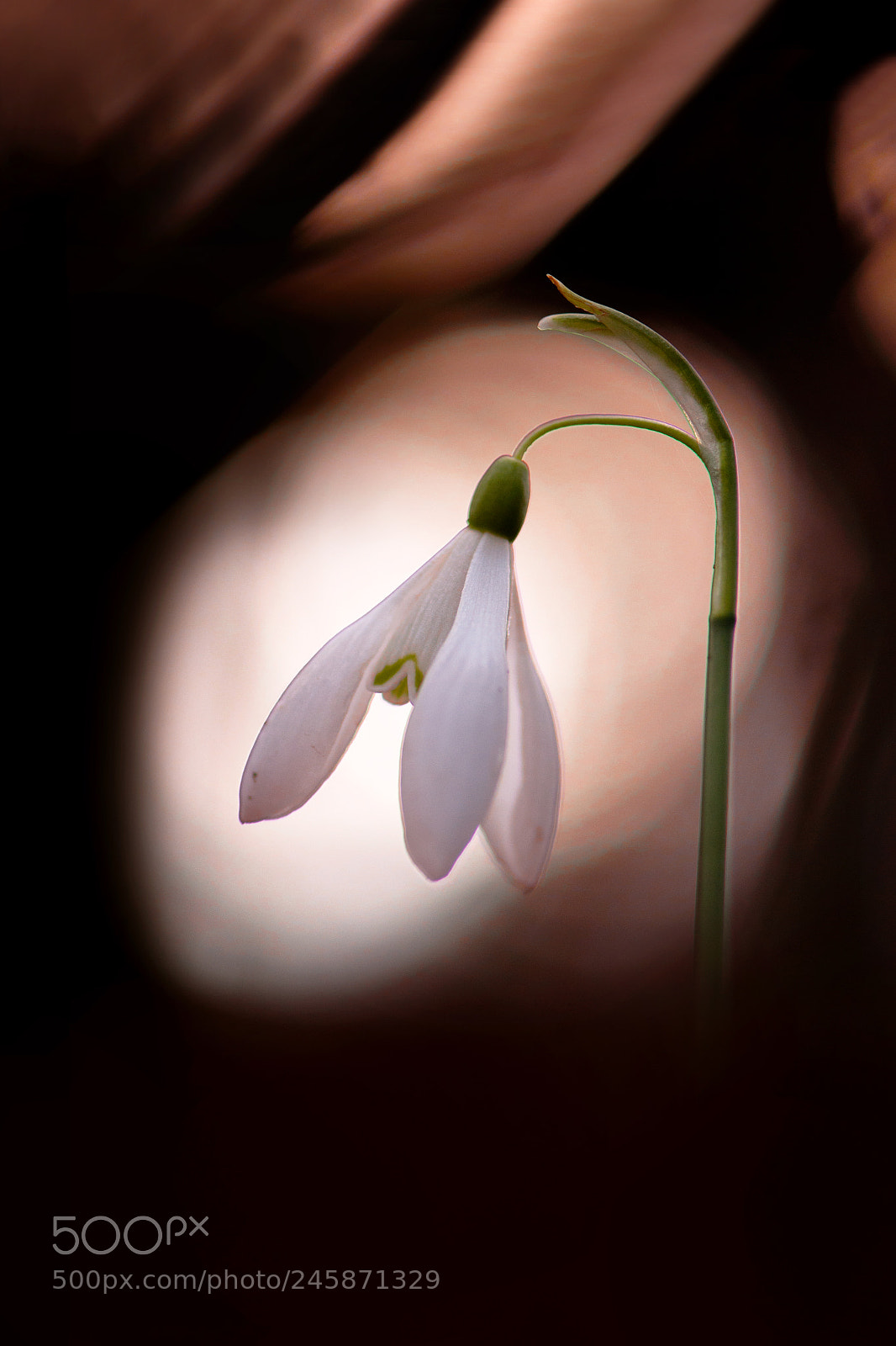 Nikon D90 sample photo. Pr mices des beaux photography
