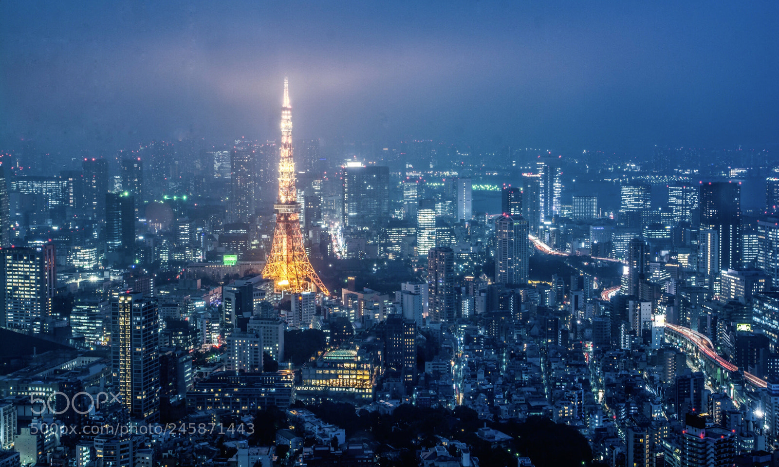 Nikon D7100 sample photo. 东京塔夜景 photography