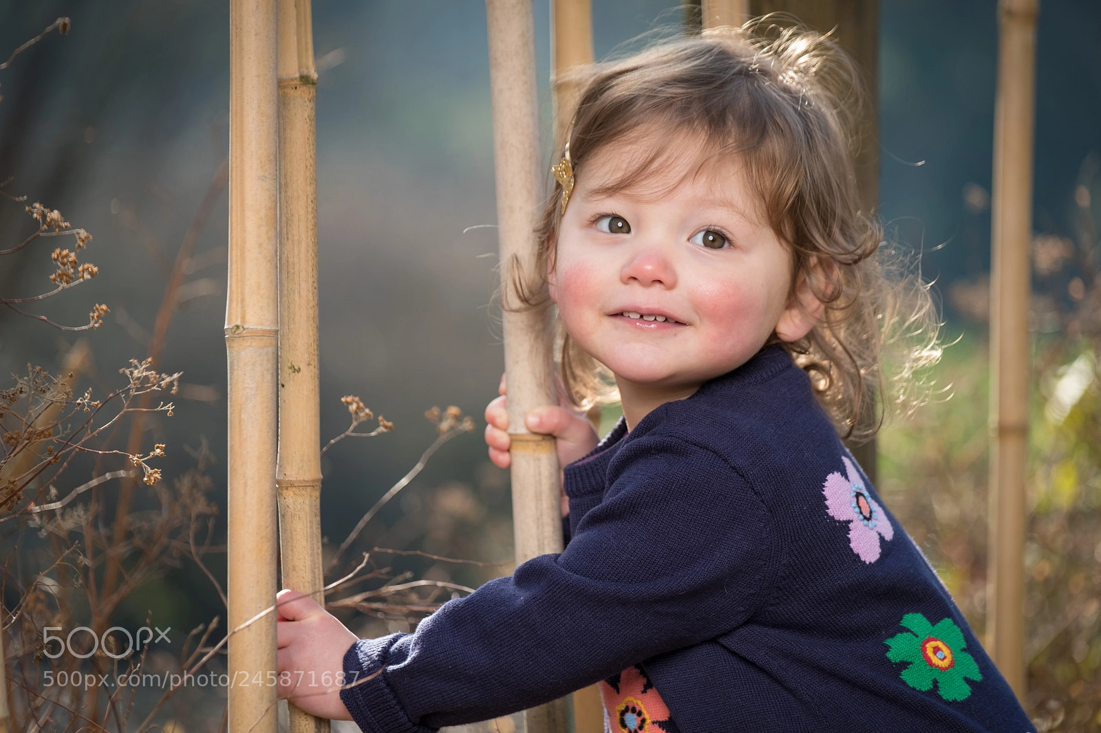 Fujifilm X-T2 sample photo. Wednesday photography