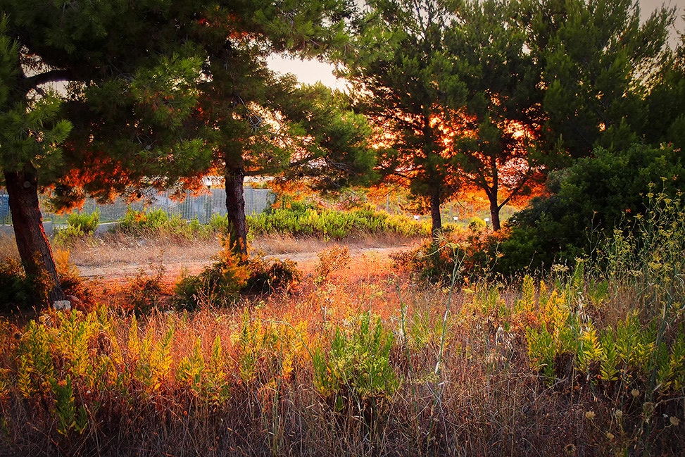 Olympus XZ-1 sample photo. 039-the colors of the sunset photography