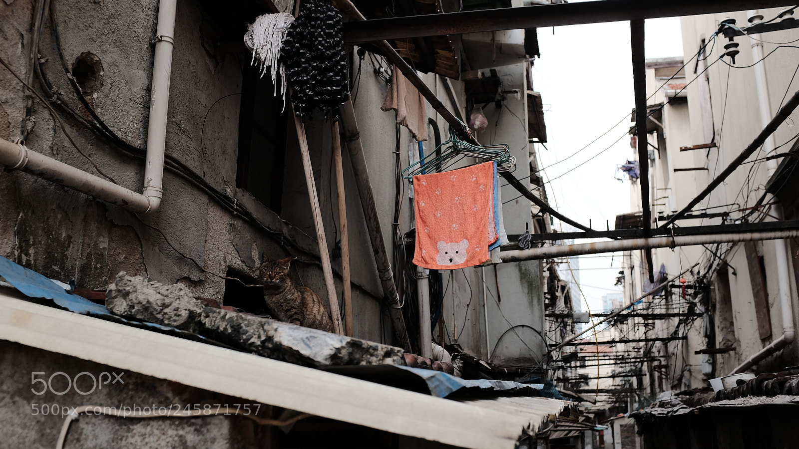 Fujifilm X100T sample photo. Untitled photography