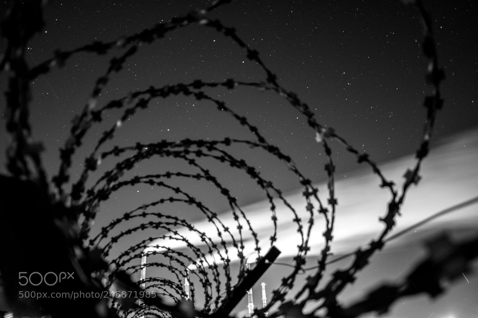 Nikon D5200 sample photo. Through the thorns to photography