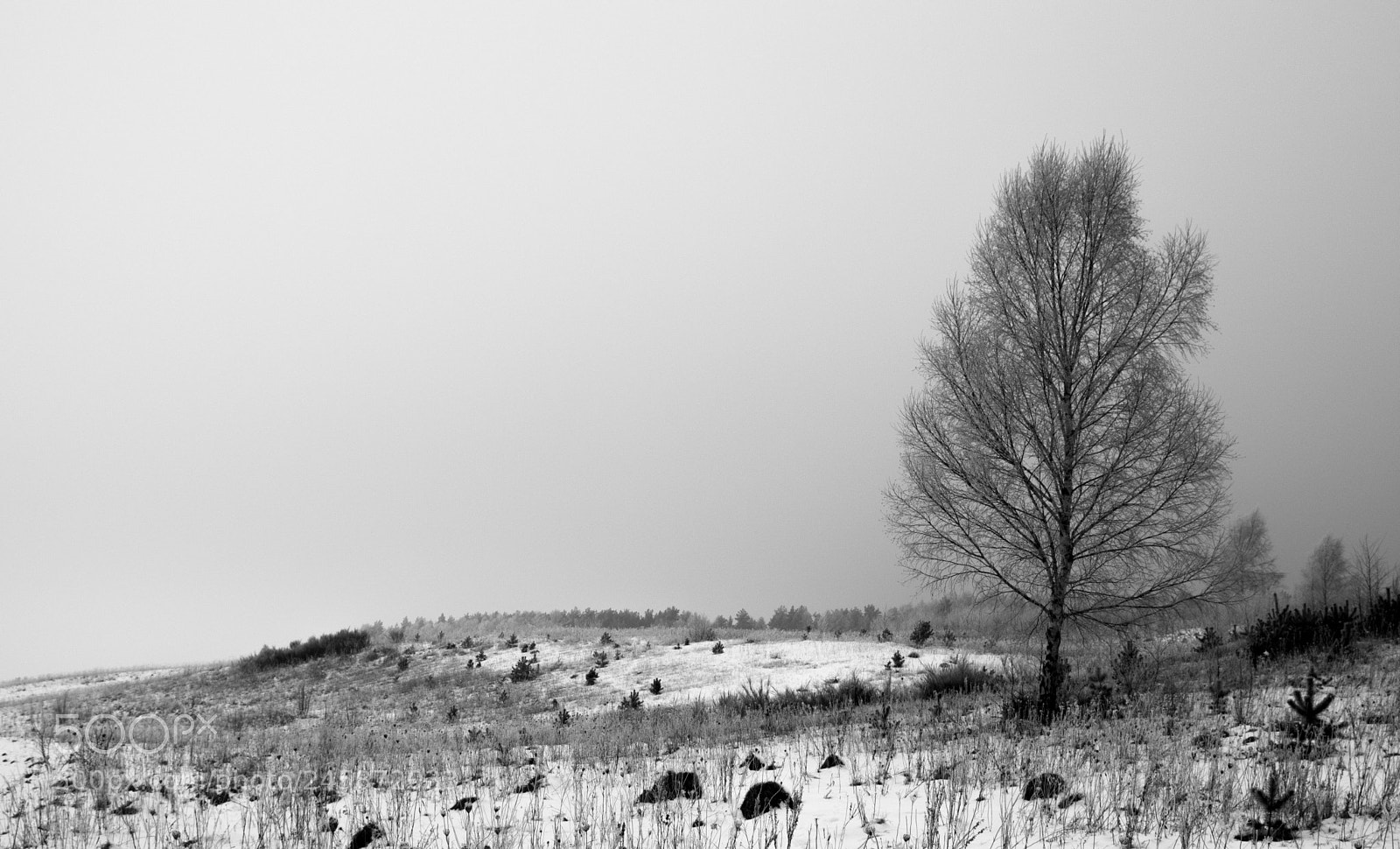 Pentax K-70 sample photo. Winter photography