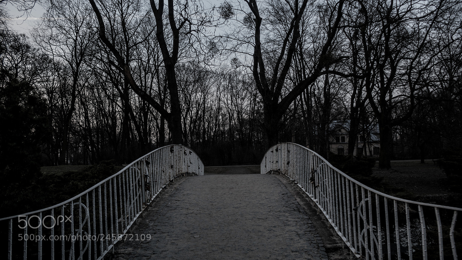 Sony Alpha DSLR-A330 sample photo. Bridge in park photography