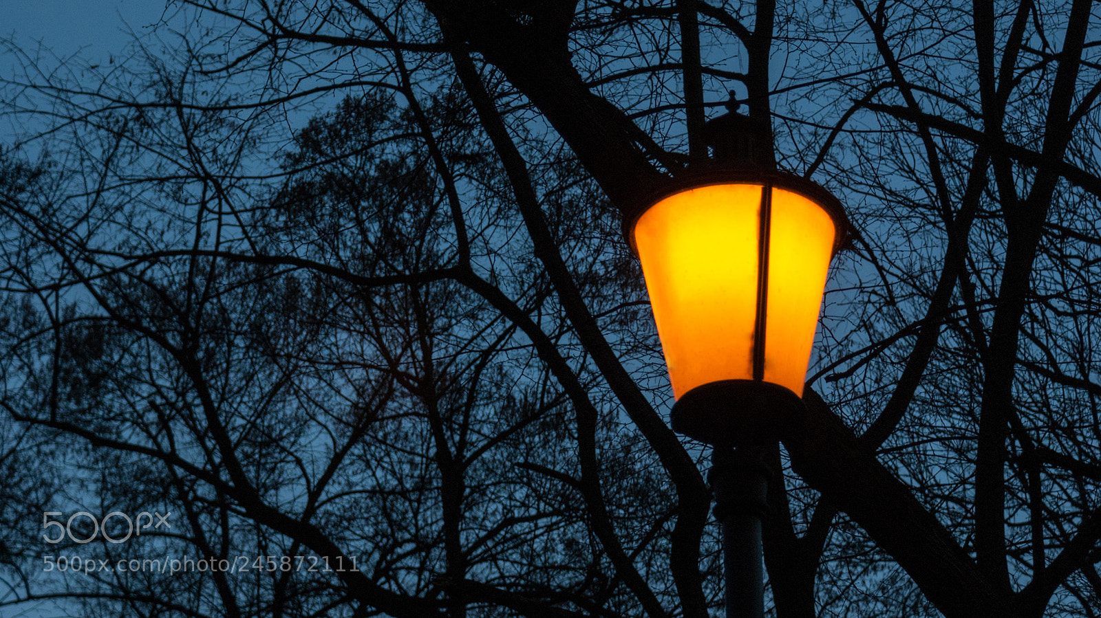 Sony Alpha DSLR-A330 sample photo. Yellow lamp photography