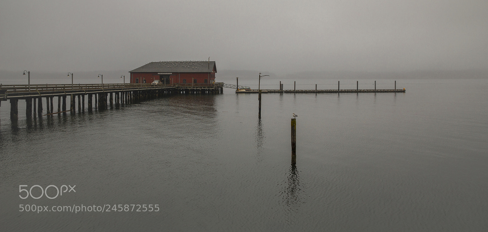 Canon EOS 550D (EOS Rebel T2i / EOS Kiss X4) sample photo. Penn cove fog photography