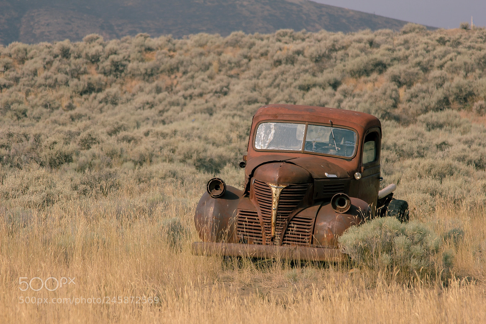 Canon EOS 60D sample photo. Rust photography