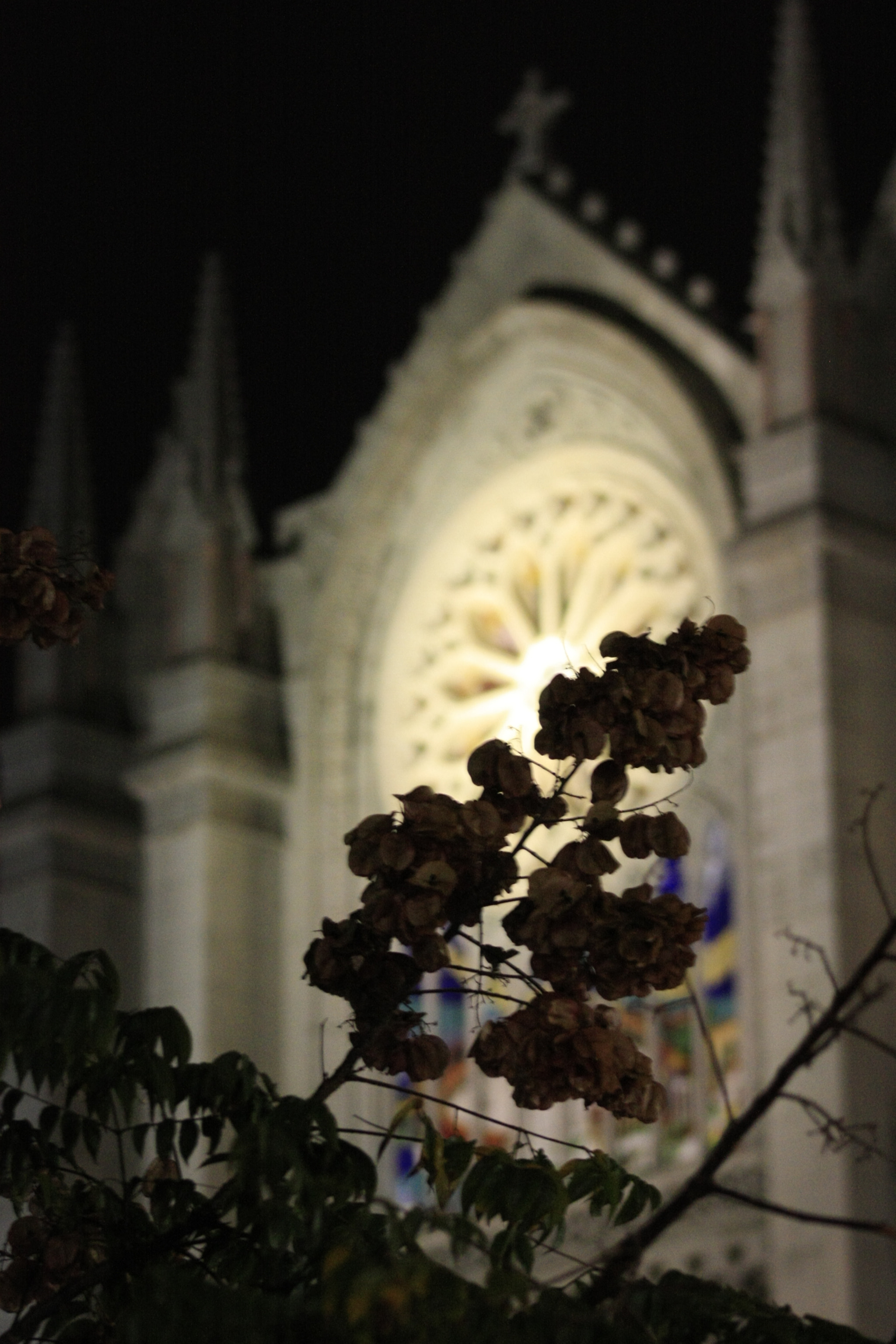 EF75-300mm f/4-5.6 sample photo. Expiatorio photography