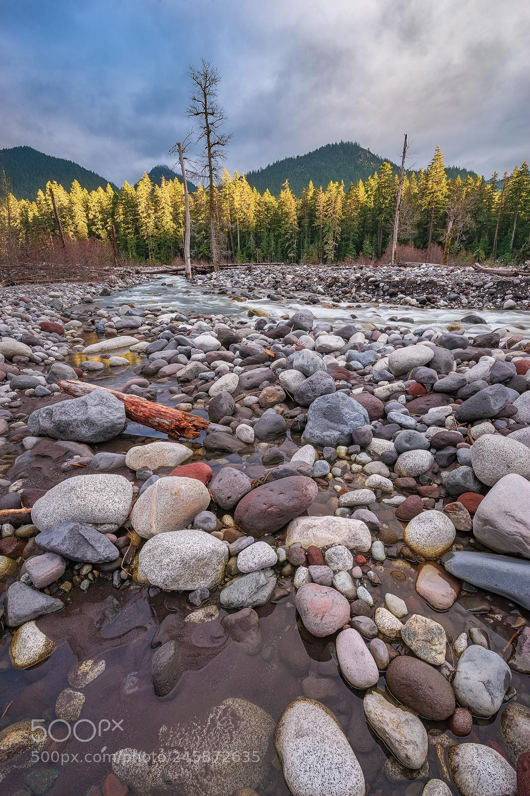 Sony a7 II sample photo. Nisqually river in rainier photography