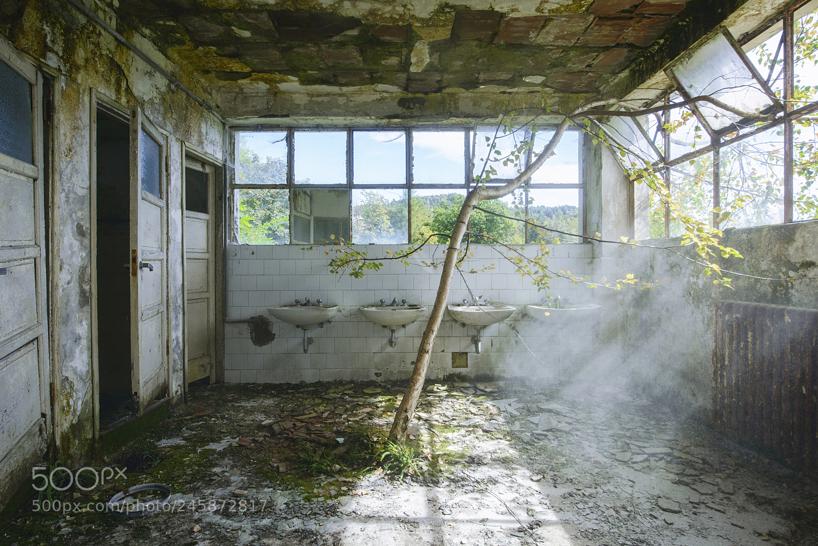 Nikon D800 sample photo. The escape dream of photography