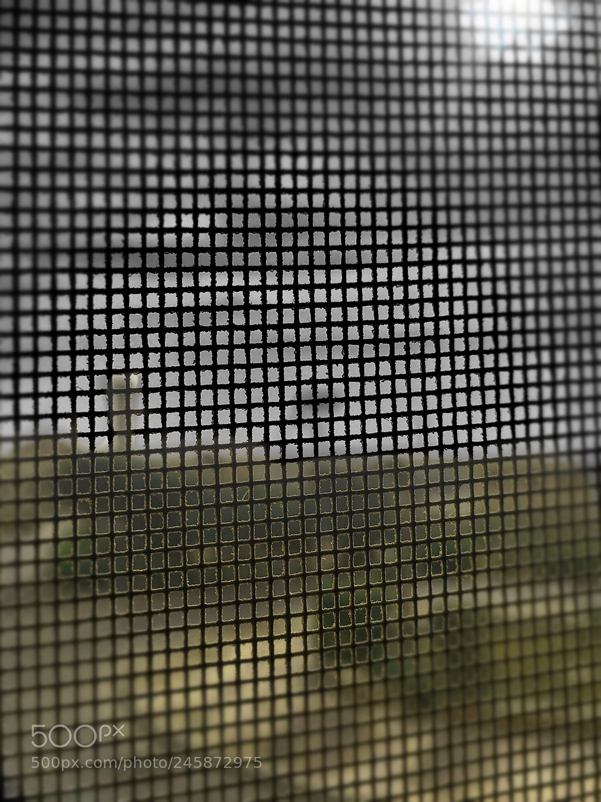 Apple iPhone 6s sample photo. Untitled photography