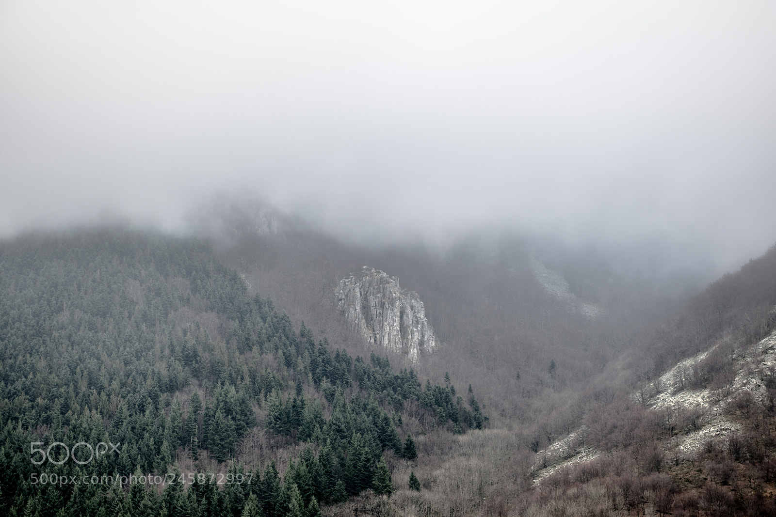 Nikon D850 sample photo. Low clouds photography
