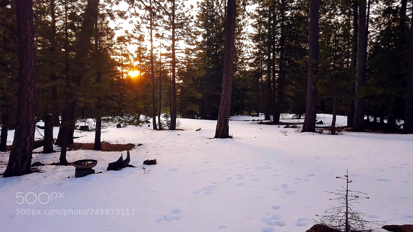 Samsung Galaxy S6 sample photo. Winter sunrise photography