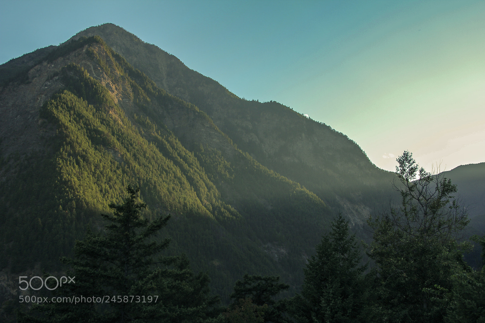 Canon EOS 60D sample photo. Golden mountains photography