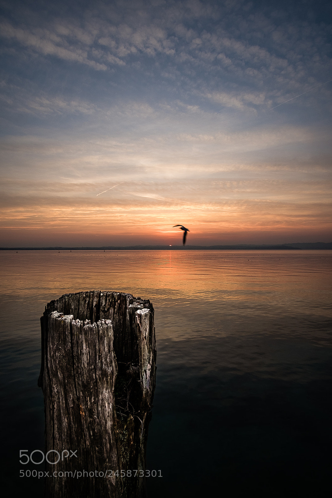 Fujifilm X-T10 sample photo. ... tranquility ... photography
