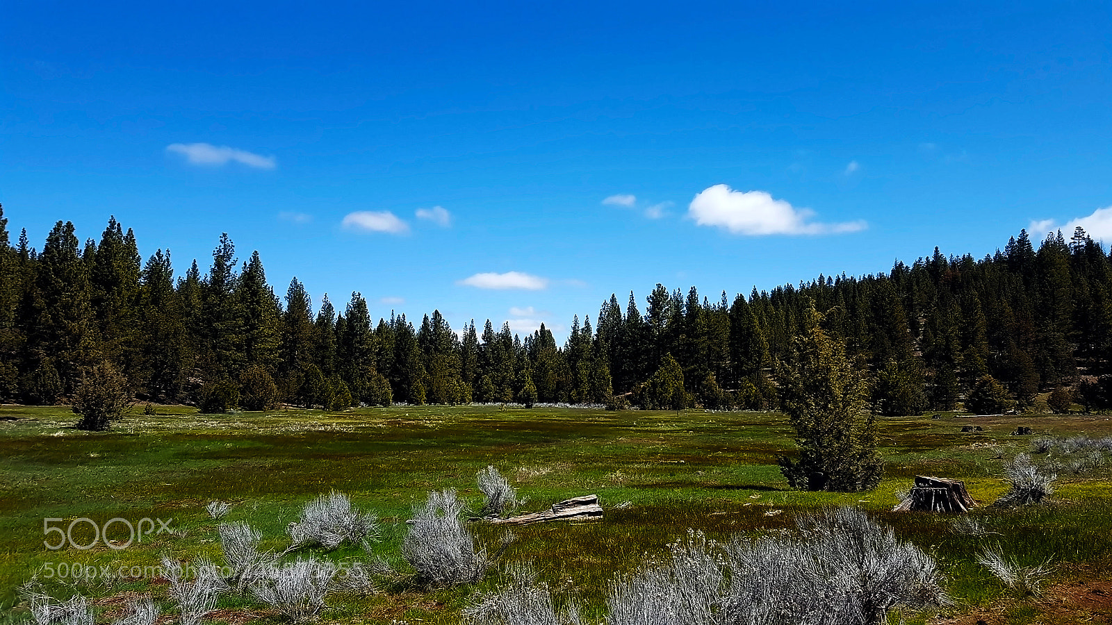 Samsung Galaxy S6 sample photo. Norcal landscape photography