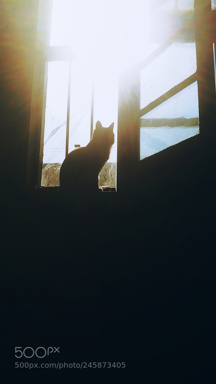 Samsung Galaxy S5 sample photo. Untitled photography
