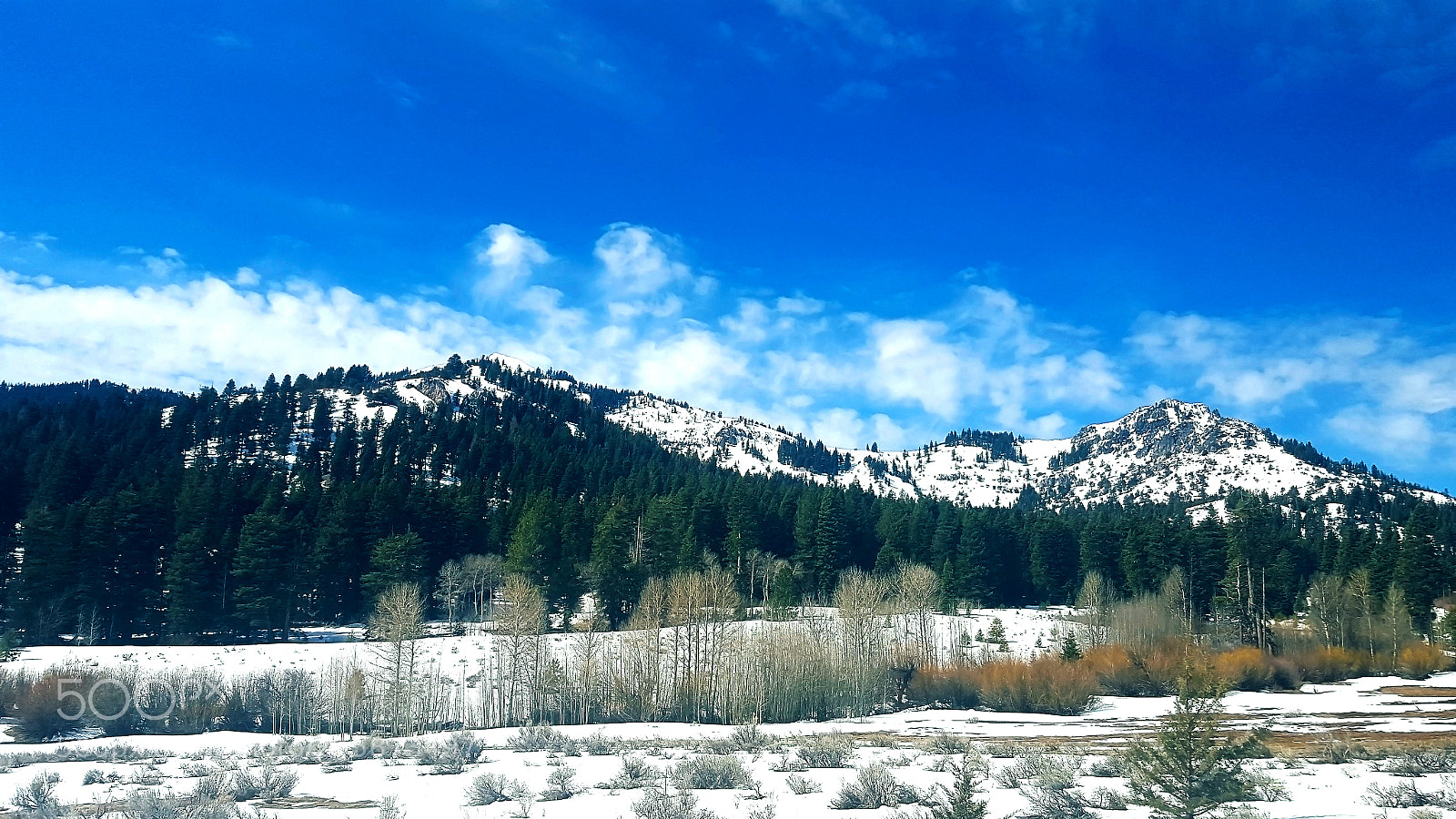 Samsung Galaxy S6 sample photo. Northern cali winter photography
