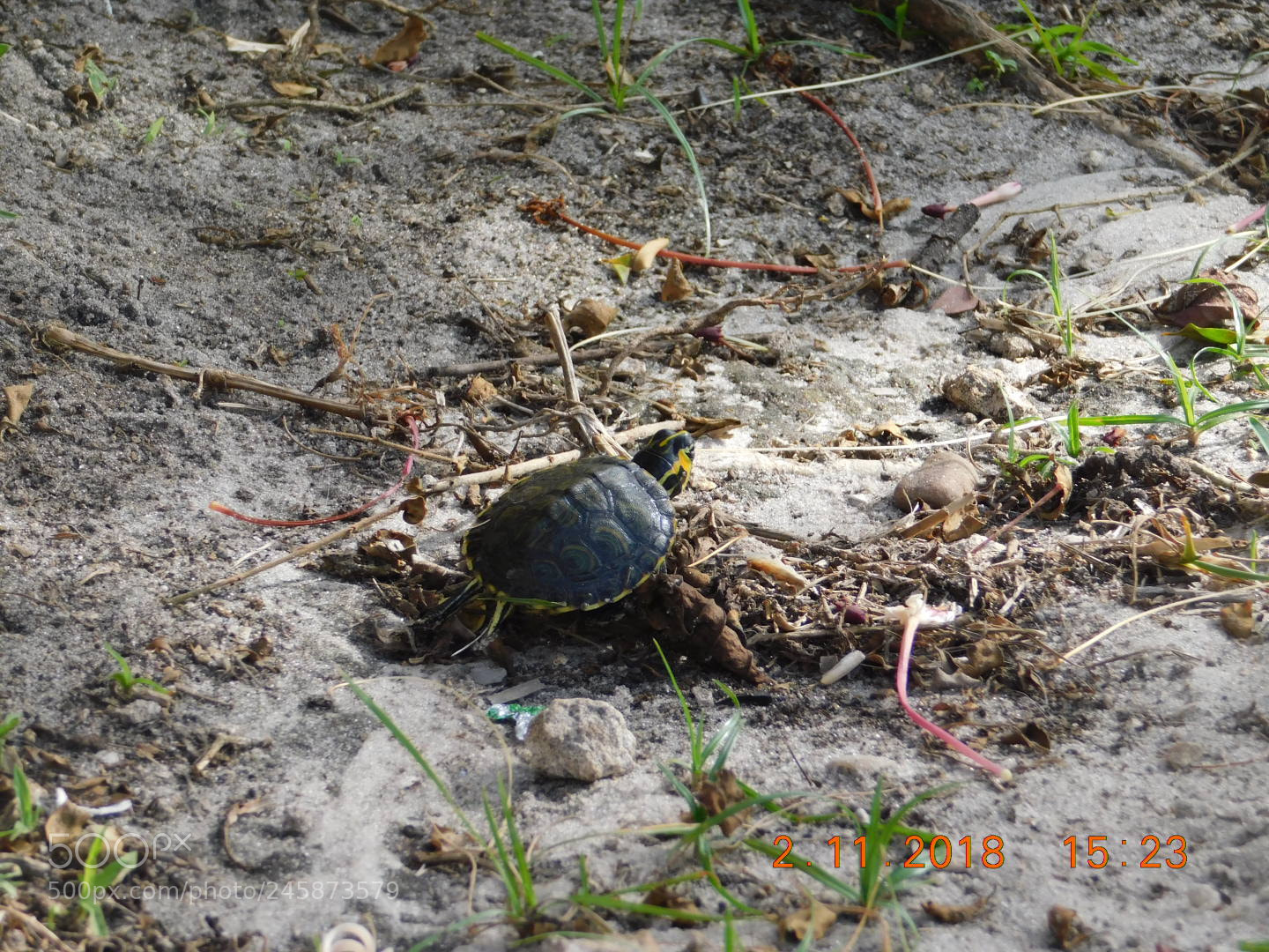 Nikon Coolpix B500 sample photo. ? photography