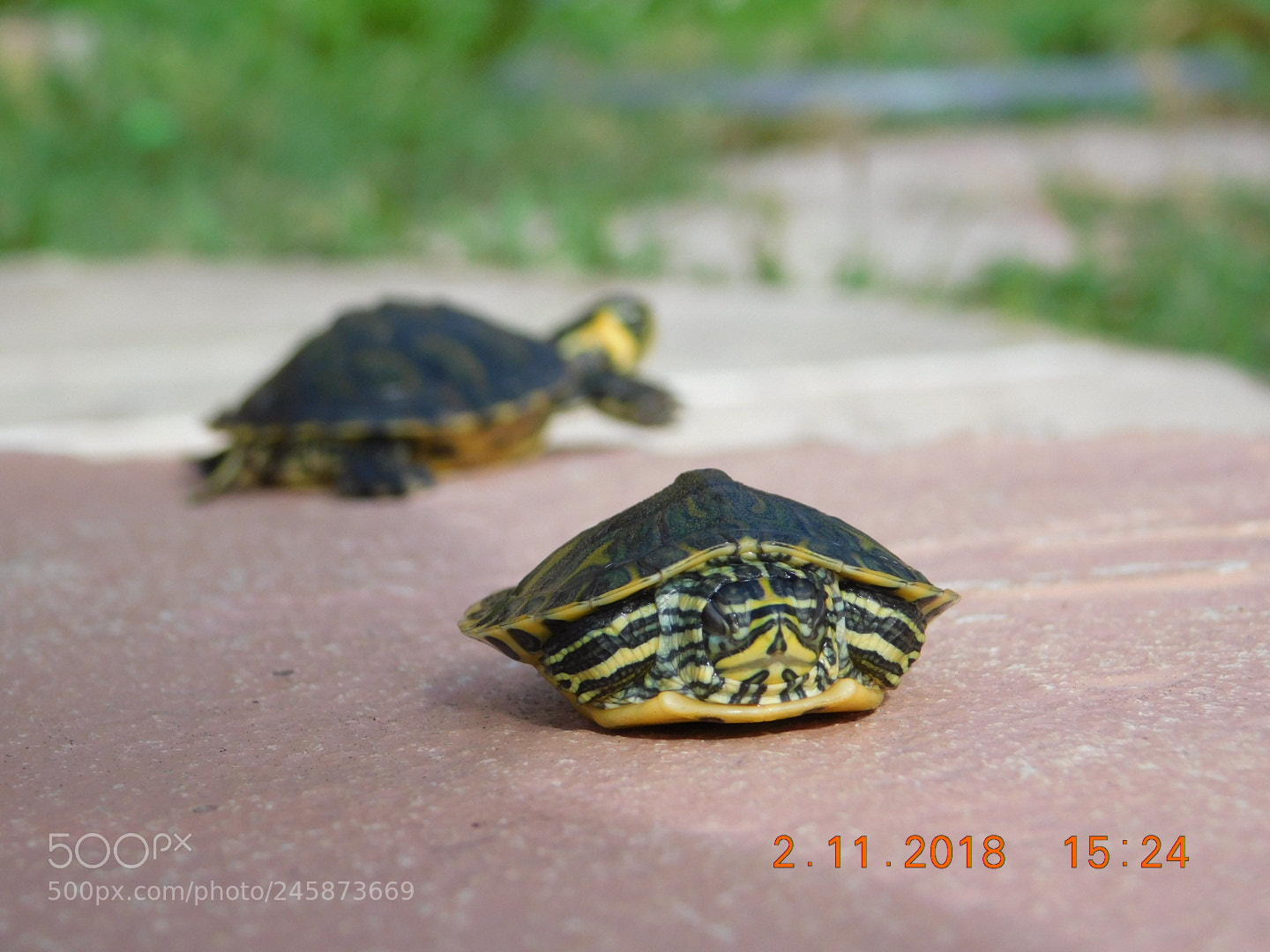 Nikon Coolpix B500 sample photo. ?? photography