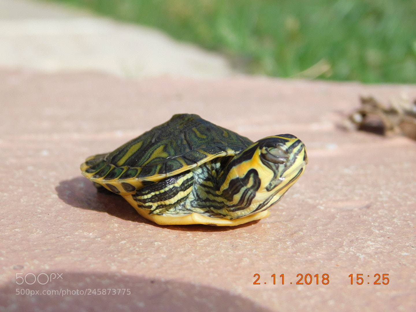 Nikon Coolpix B500 sample photo. ? photography