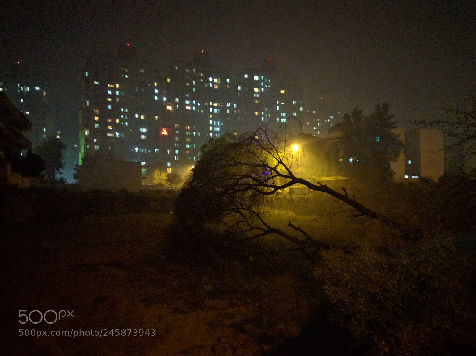 LG Nexus 5X sample photo. Wasted photography