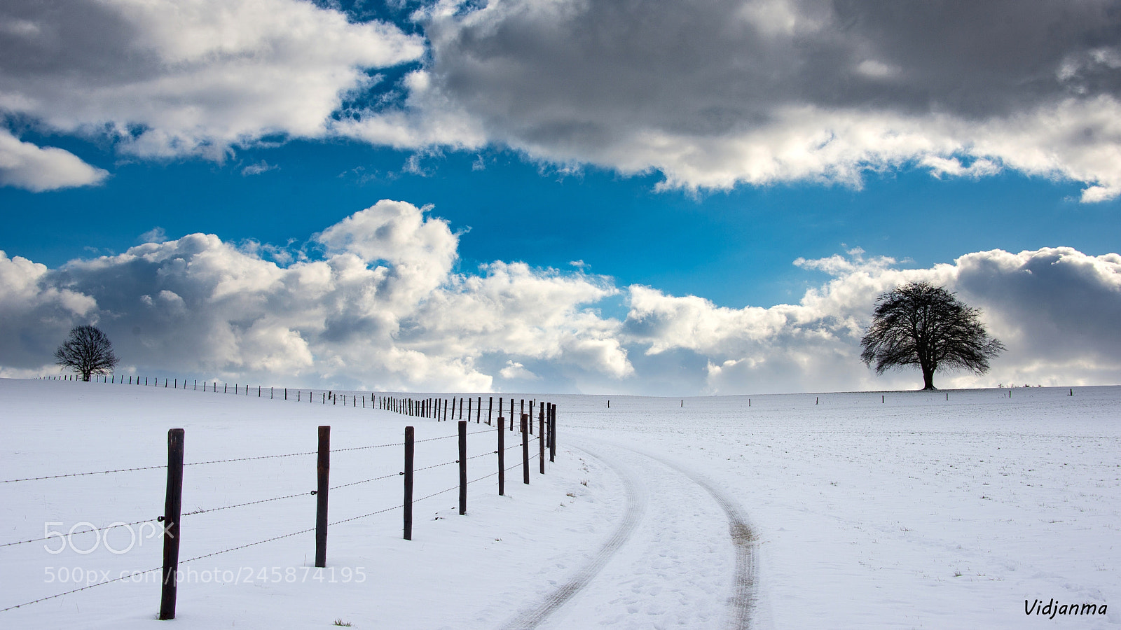 Nikon D610 sample photo. An other way to photography