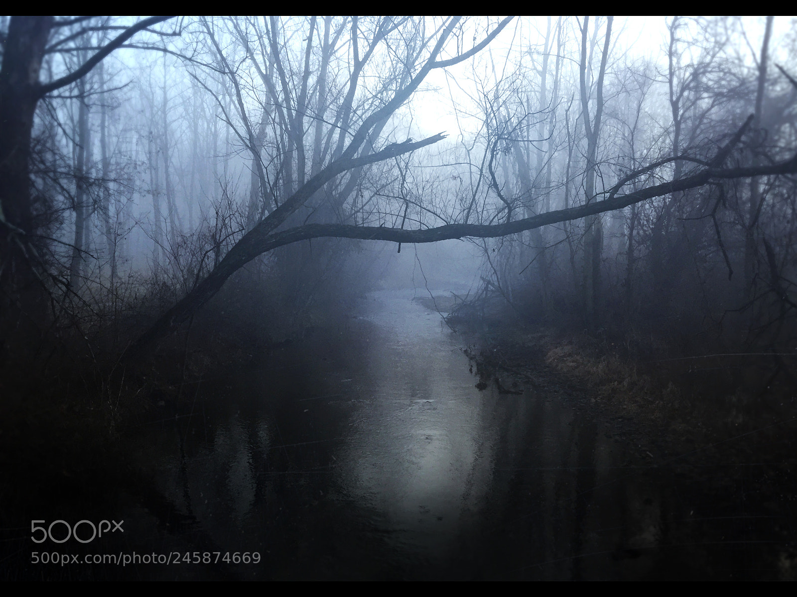 Apple iPhone 6 Plus sample photo. Renfrew park | part 1 photography