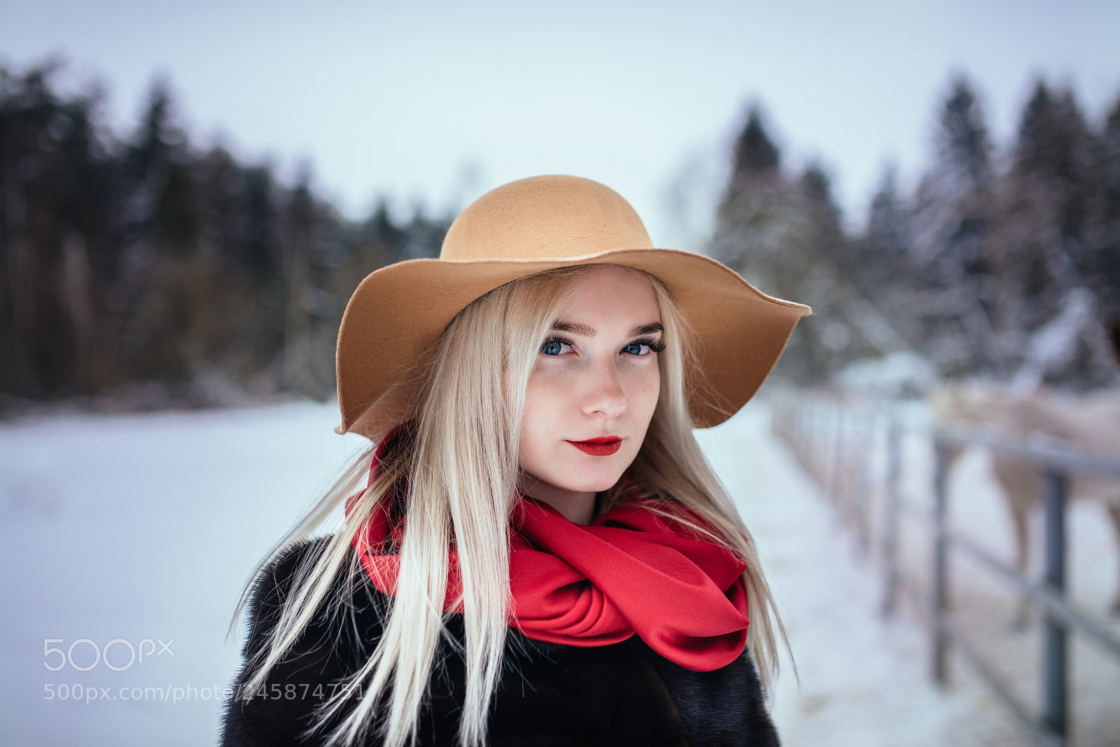 Nikon D610 sample photo. Snow girl photography