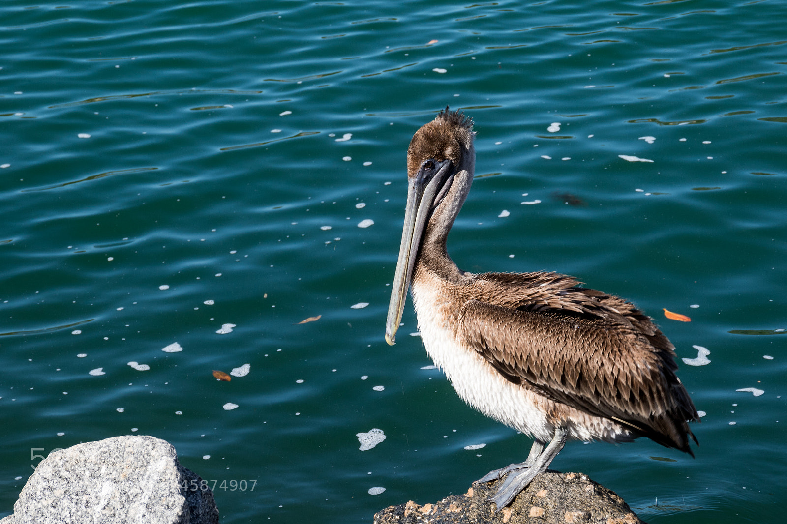 Canon EOS 7D Mark II sample photo. Sa photography