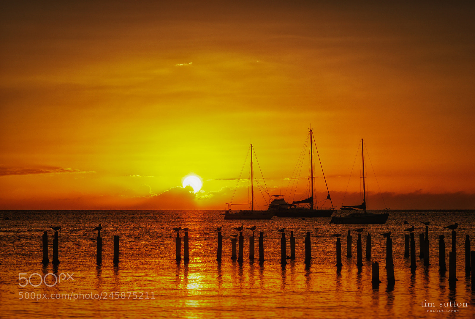 Sony ILCA-77M2 sample photo. Sloops at sunset photography