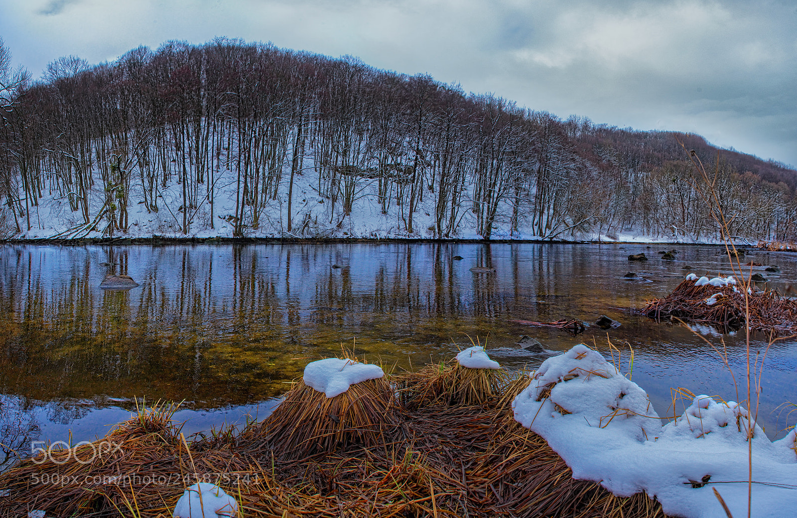Nikon D800E sample photo. Spring is coming photography