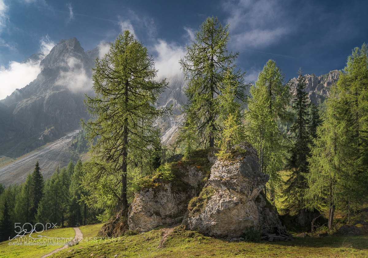 Sony a7R II sample photo. Mountain forest photography