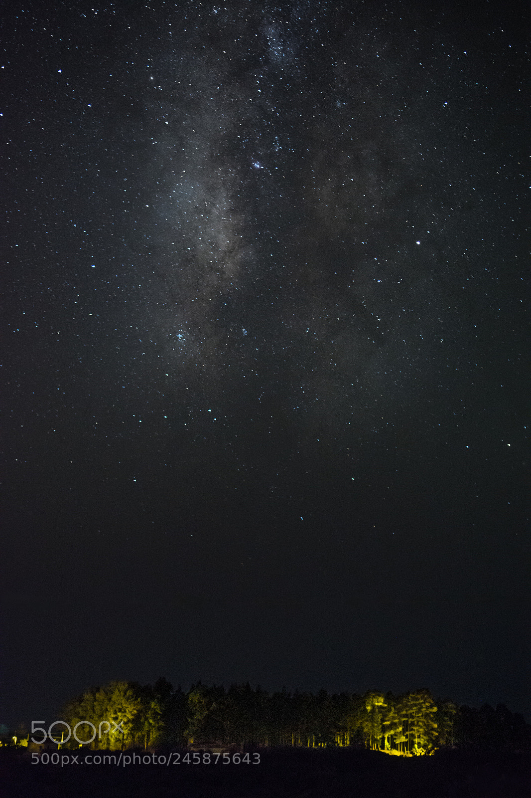 Nikon D7100 sample photo. In the ocean photography