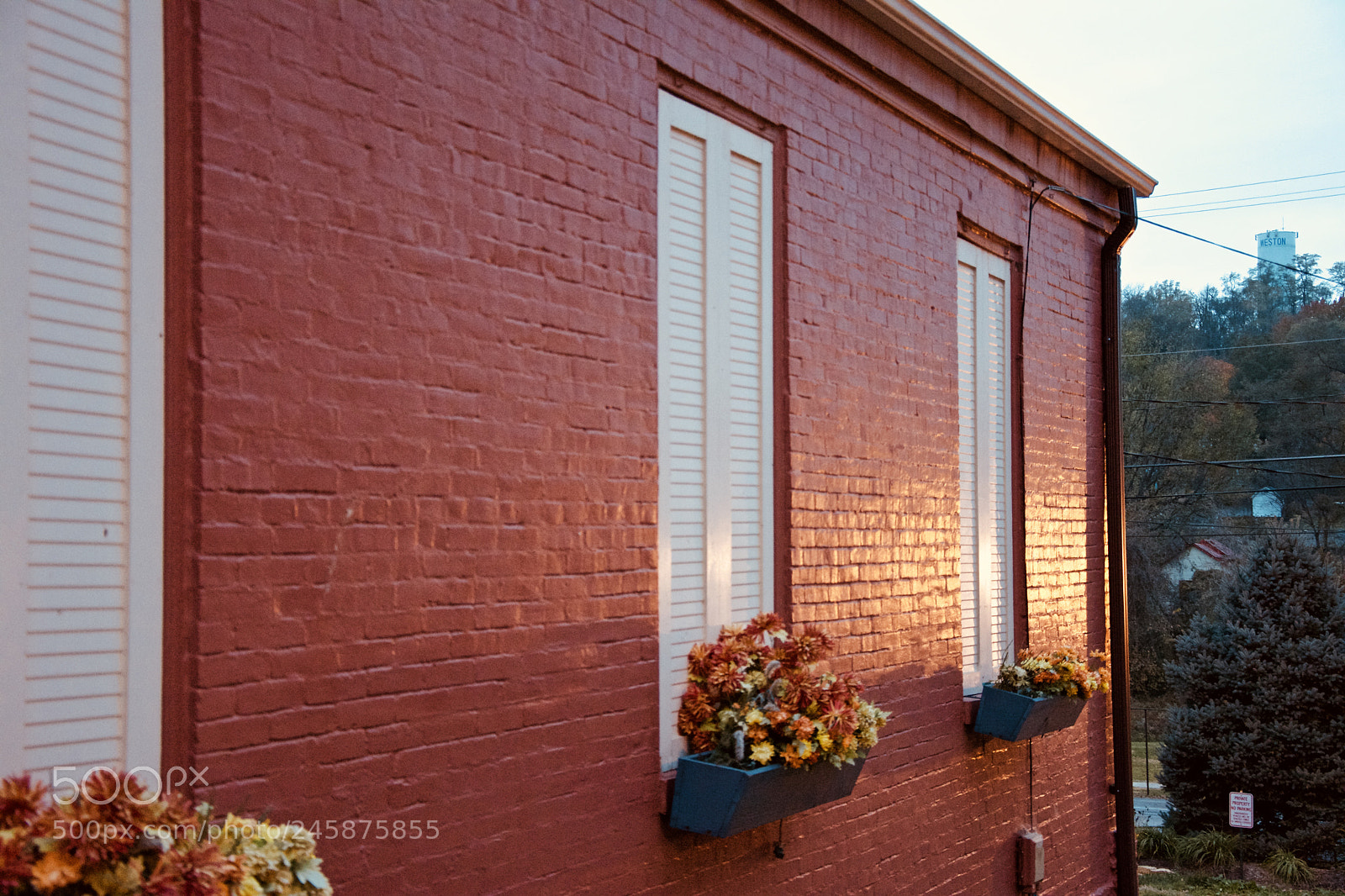 Nikon D7100 sample photo. Window planters photography