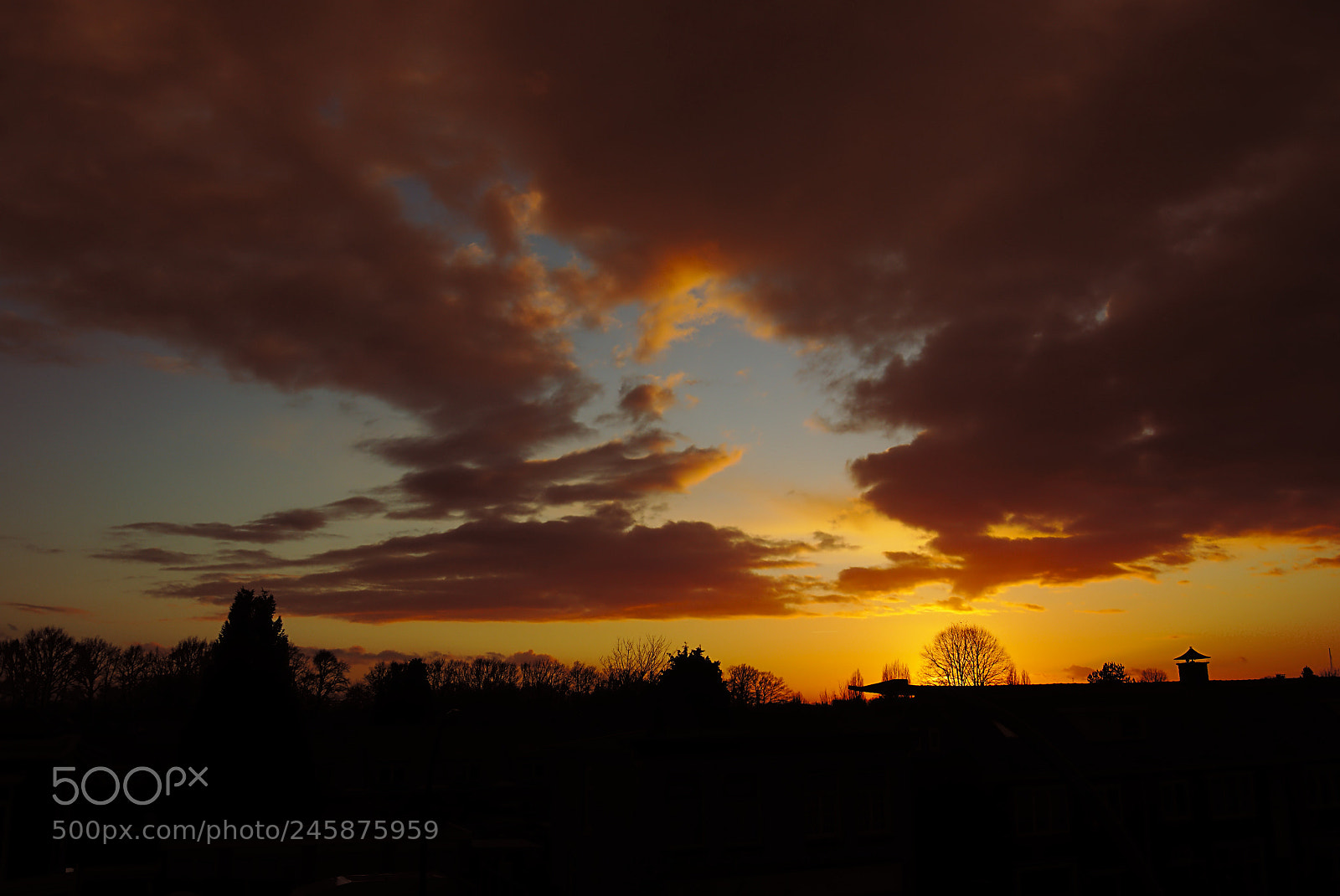 Sony SLT-A65 (SLT-A65V) sample photo. Out of my window photography