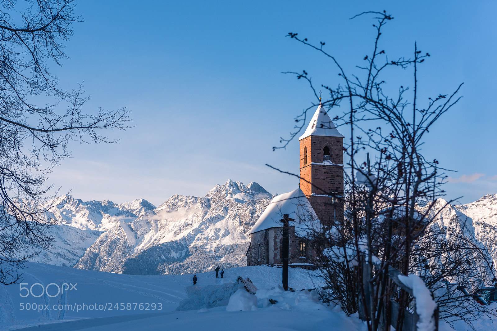 Nikon D810 sample photo. Frozen photography
