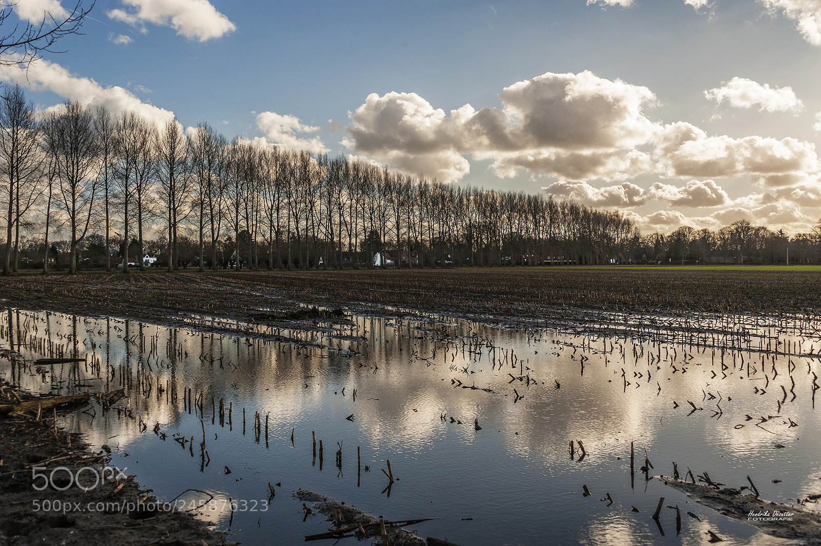 Nikon D3 sample photo. Underwater standing farmlands photography