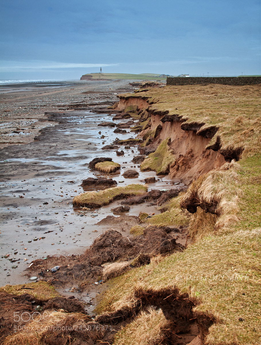 Canon EOS 500D (EOS Rebel T1i / EOS Kiss X3) sample photo. Patterns of erosion photography