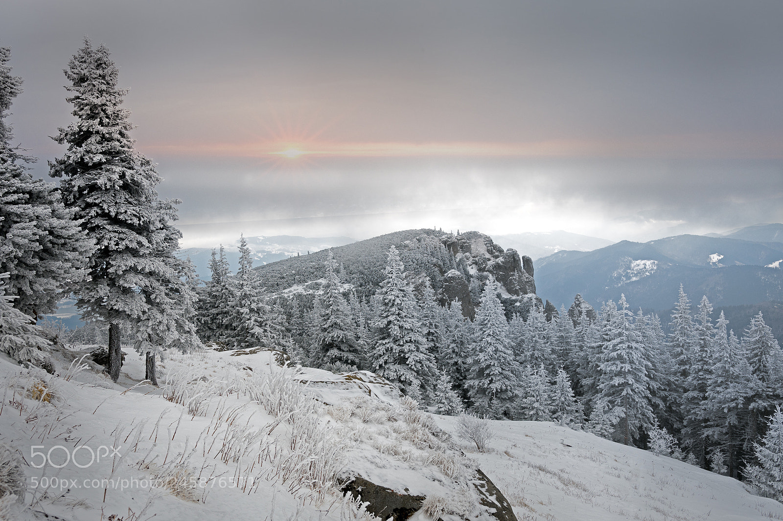 Nikon D500 sample photo. Frozen sun photography