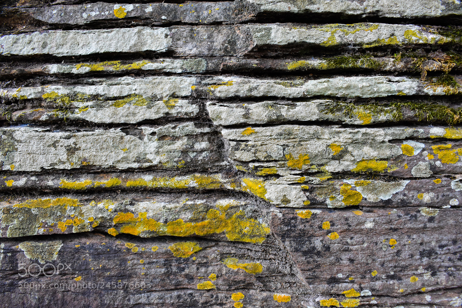 Nikon D3400 sample photo. Timelines photography