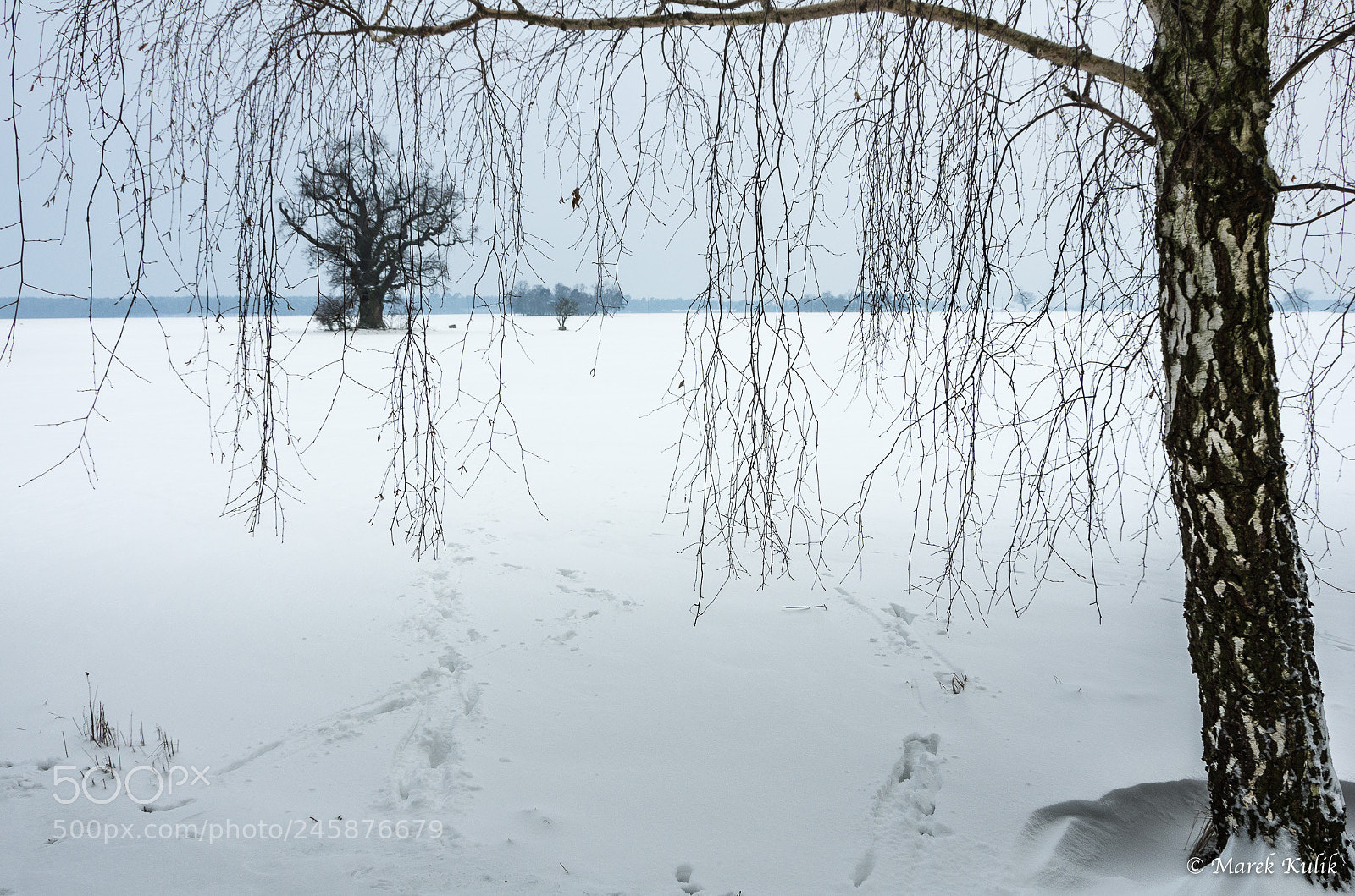 Pentax K-5 sample photo. Rogalin photography
